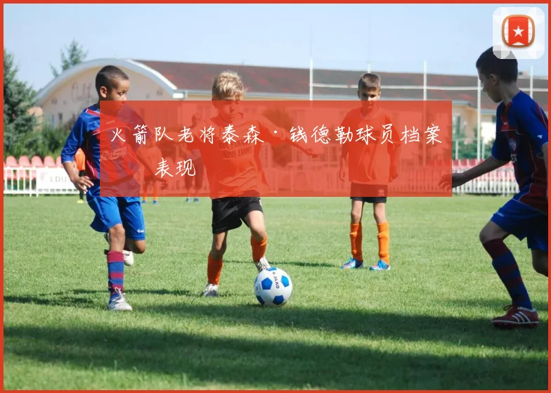 火箭队老将泰森·钱德勒球员档案与表现